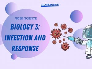 Copy of Your paragraph text.jpg