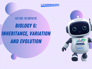 Copy of Your paragraph text (1).png