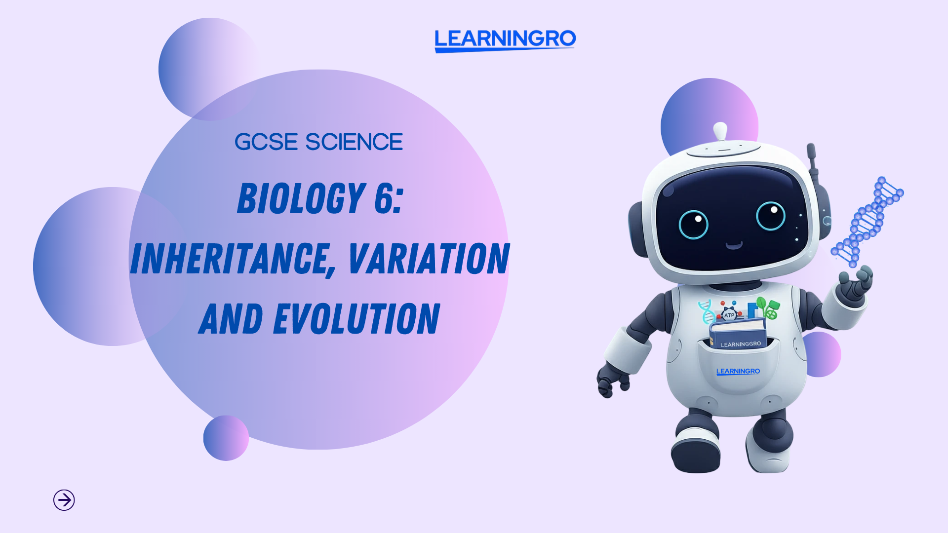 Copy of Your paragraph text (1).png