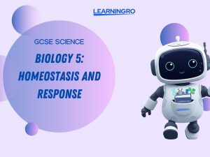 Copy of Your paragraph text (8).jpg