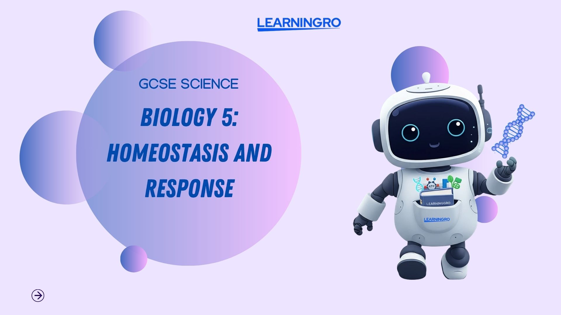 Copy of Your paragraph text (8).jpg