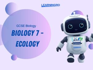 Copy of Your paragraph text (11).jpg