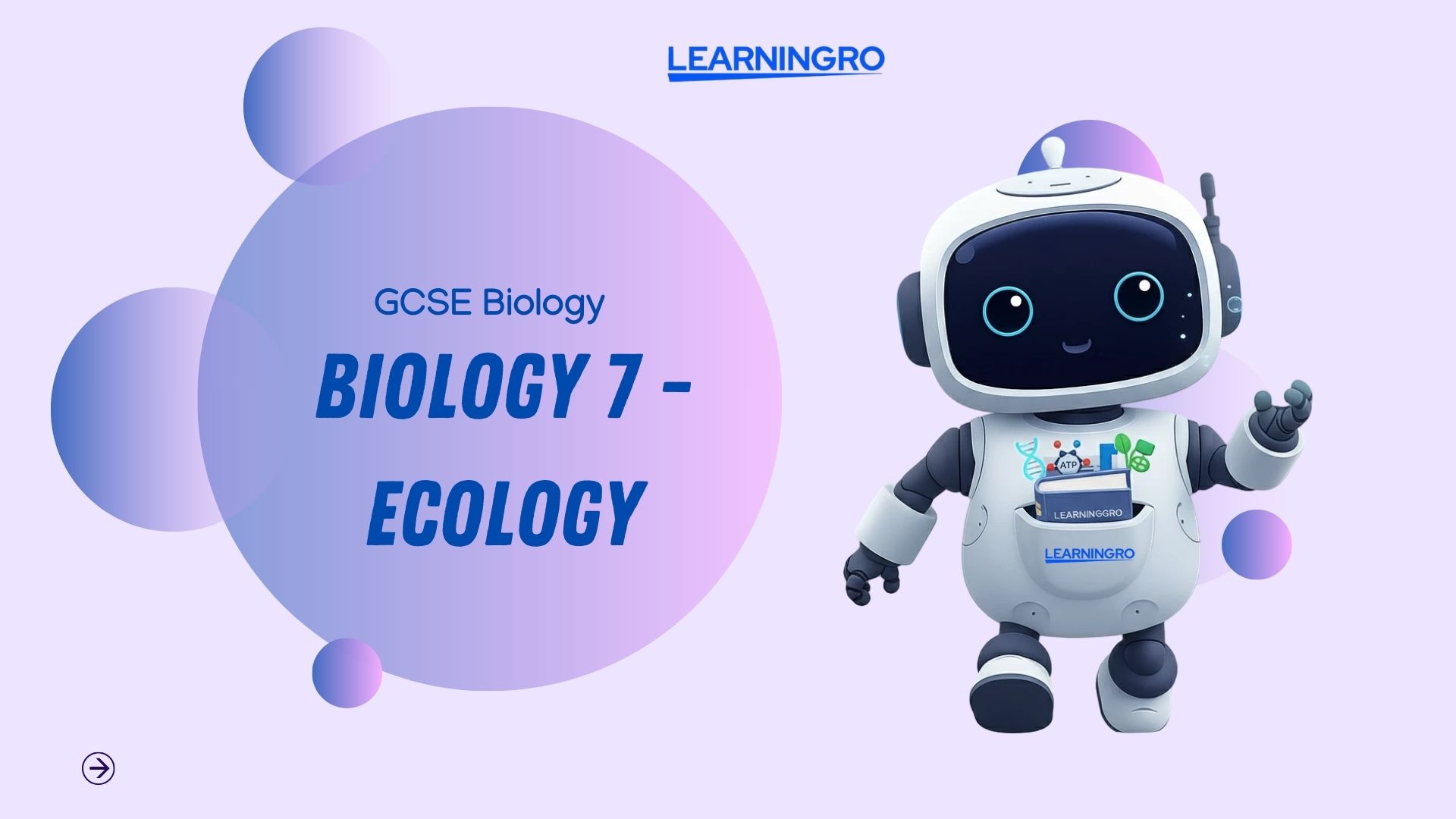 Copy of Your paragraph text (11).jpg